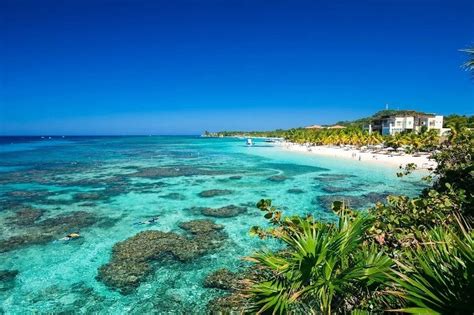 ROATAN FOREVER (2026) All You Need to Know BEFORE You Go (with Photos ...