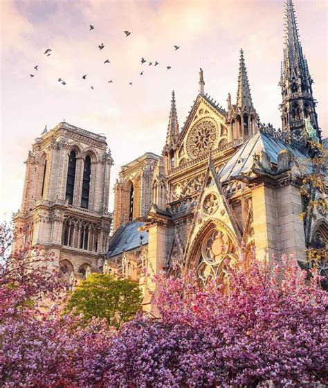 【携程攻略】巴黎巴黎圣母院景点,巴黎圣母院是巴黎市四大代表建筑之一，我把它放入我的行程的必去地而…