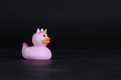 Free Images : duck, rubber ducky, water bird, pink, purple, ducks, geese and swans, bath toy ...