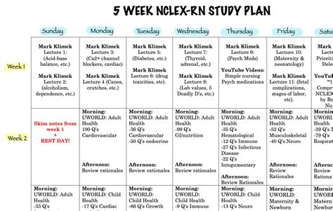 5 Week NCLEX Study Plan - Detailed - Etsy
