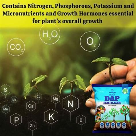 Nelgates Premium DAP Fertilizer for Healthy and Strong Plant Growth ...