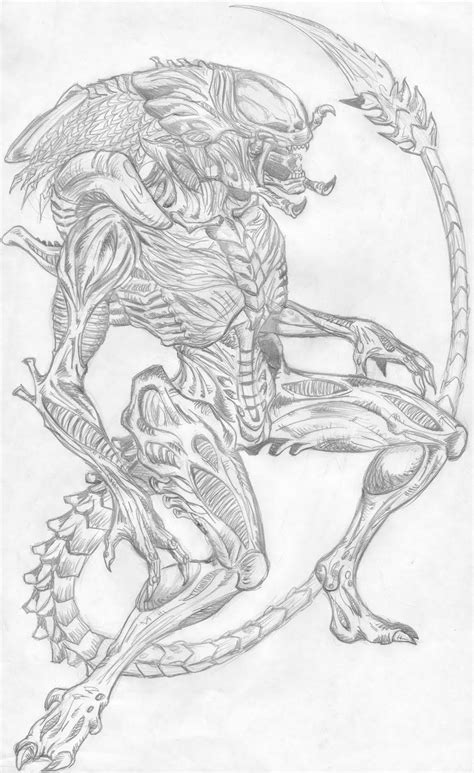 Image result for How to Draw the Predalien