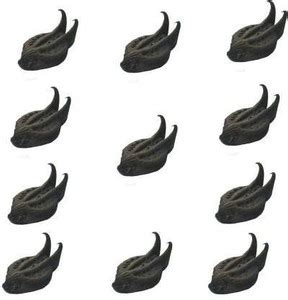 Alberts Bat Head Root Seed Price in India - Buy Alberts Bat Head Root ...