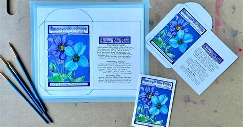 Vital + Creative: Seed Packet Watercolor Illustration For Ages 55 ...