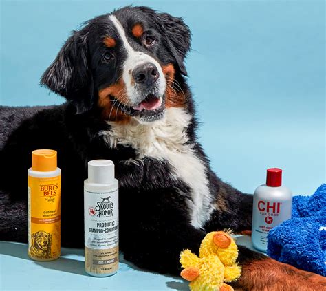 Best Dog Shampoos for Different Coat Types