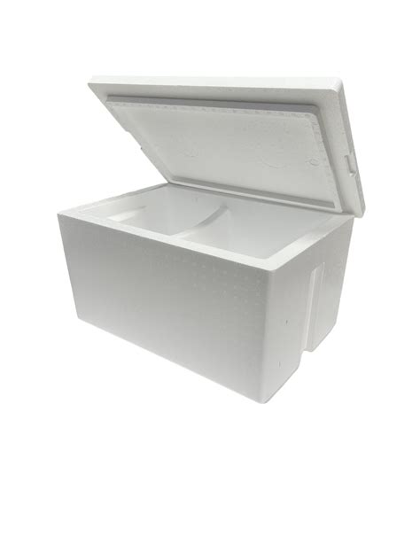 Amazon.com : Insulated Cooler, Styrofoam Ice Chest, 47qt, Dual ...