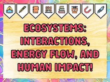 ECOSYSTEMS: INTERACTIONS, ENERGY FLOW, AND HUMAN IMPACT! Grade 7 And 8 ...