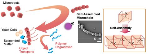 Molecular Machines and Microrobots: Nanoarchitectonics Developments and ...