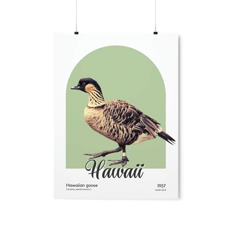 Hawaii State Bird Poster Hawaiian Goose Wall Art Nene - Etsy