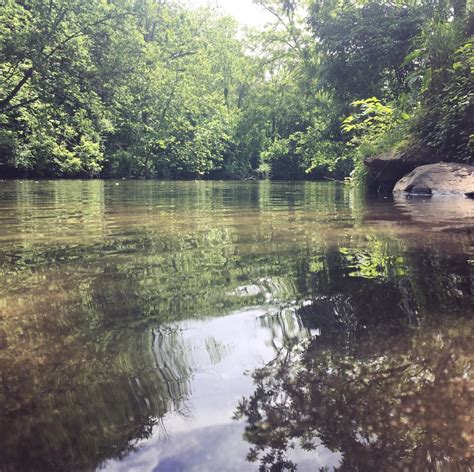 Top 10 Places For The Perfect Picnic In Cumberland Valley