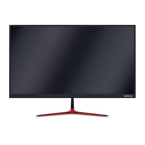 iball Bird i24 LED Monitor with (23.8 inch) Widescreen, Frameless Ultra ...