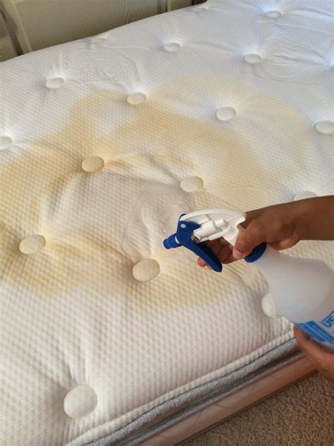 How To Get Urine Out Of Weighted Blanket at Aaron Copeley blog