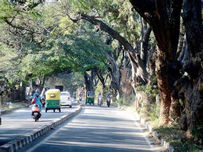 Bengaluru: 10 projects, 60,200 trees