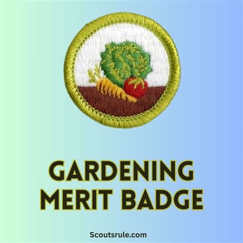 Sustainability Merit Badge Guide - Scouts Rule