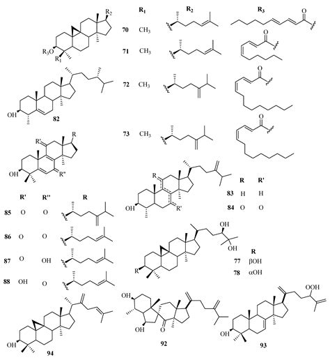 A Review of the Ethnomedicinal Uses, Biological Activities, and ...