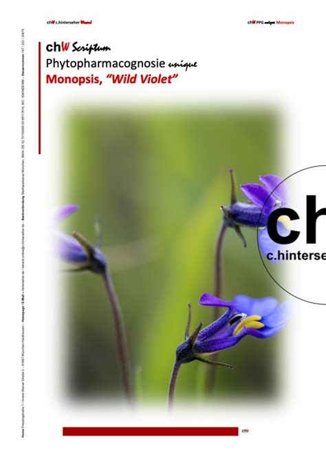 chW SE PPG unique: Monopsis, „Wild Violet“ – C. Hinterseher Wissen