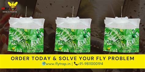 Eco-Friendly Fly Control Solution: Organic Fly Traps - FlyTrap
