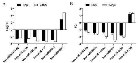 Identification of Unique Key miRNAs, TFs, and mRNAs in Virulent MTB ...