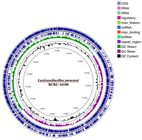 Phenotypic and Genomic Analysis of a ProbioGel with Antimicrobial ...