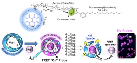 Home [sites.iiserpune.ac.in]