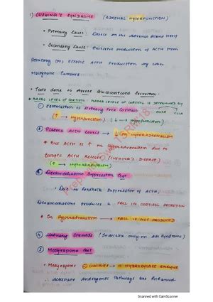 Heart anatomy - MBBS notes - EXTERNAL FEATURES OF THE HEART ANTERIOR ...
