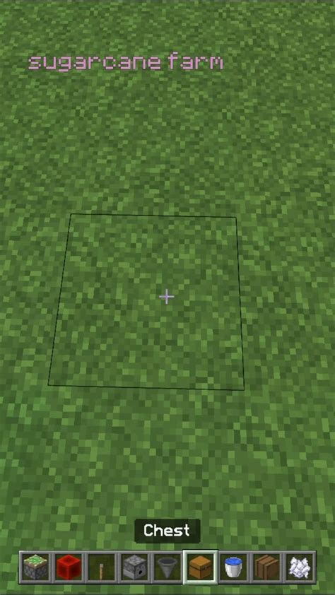 Image result for Minecraft Sugarcane Farm Tutorial