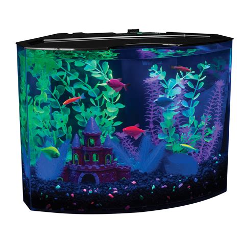 5 Gallon Fish Tank in Fish Tanks - Walmart.com