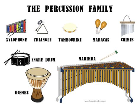Percussion Instruments List