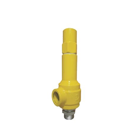 Manufacturer and Exporter Of Pop Action safety valve in India