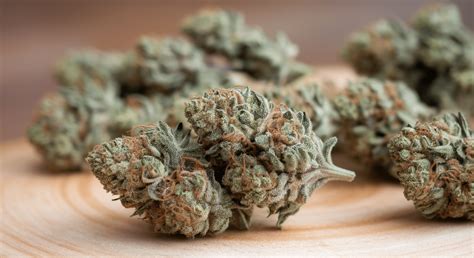 CBD Blog for Wellness & Calm | FunWithDizzies