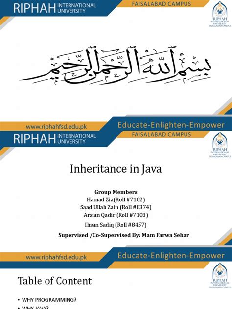 Image result for Inheritance in Java with Example Programs PDF