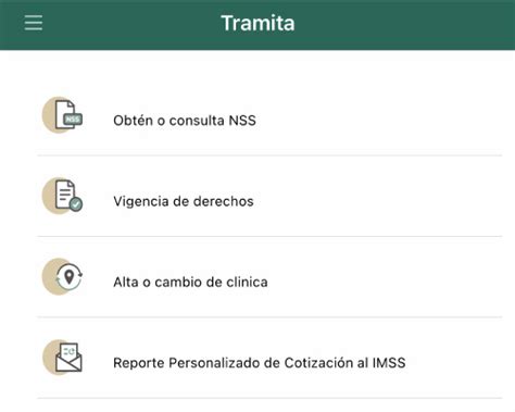 Image result for App IMSS Digital Tutorial