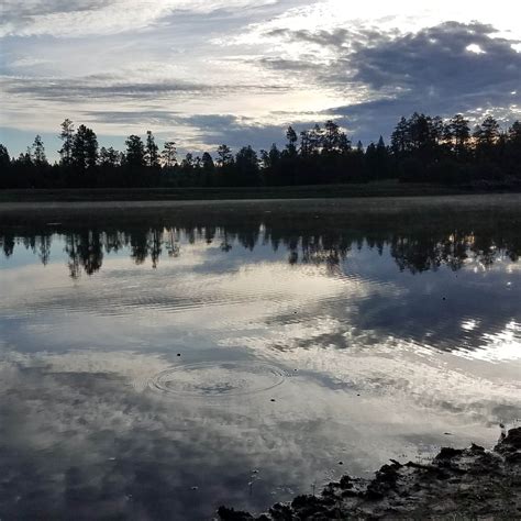 White Horse Lake Campground | The Dyrt