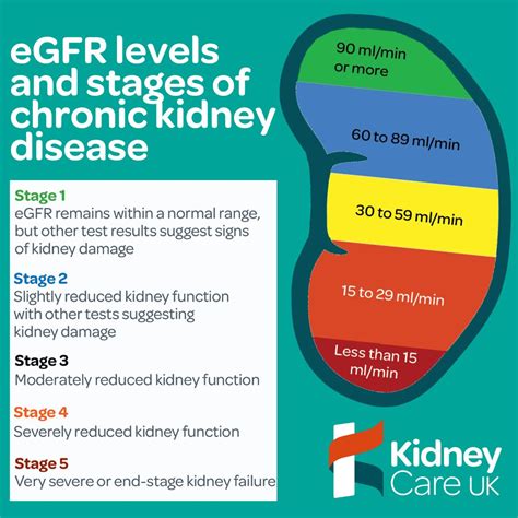 eGFR levels and stages of chronic kidney disease | Mina Awad