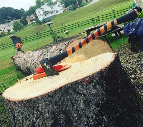 Image result for Tree Logging Service