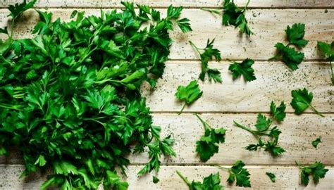How to Induce Period: Effective Home Remedies to Get Periods Fast