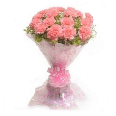12 PINK CARNATIONS BOUQUET