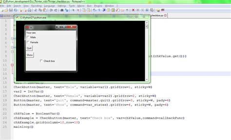 Tkinter Widgets Python Check Button 的图像结果