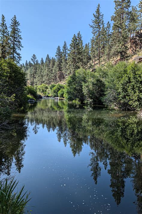 2024-07 Riley Ranch Nature Reserve - The Collins Family on the Web