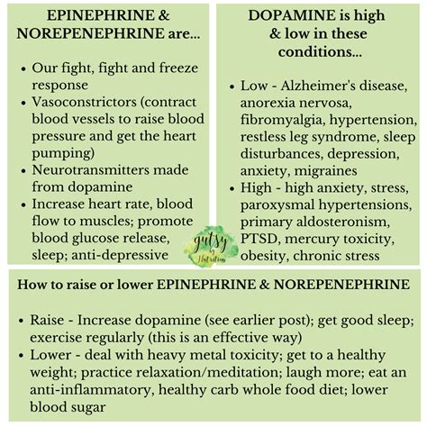 When is adrenaline is high and low? — Gutsy By Nutrition | Health ...