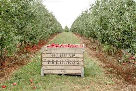 Welcome to Bauman Orchards - Bauman Orchards