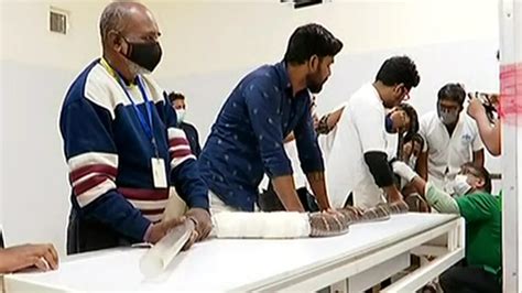 King Cobra With Fractured Ribs Undergoes Life-Saving Surgery At OUAT In ...