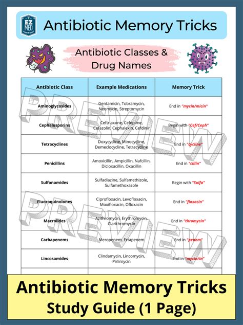 Antibiotic Medical Terminology Breakdown at Carey Shaw blog