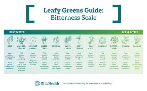 Your Guide to Leafy Greens – OhioHealth