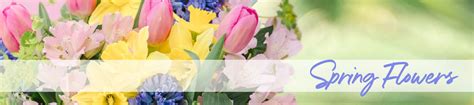 Image result for Spring Flower 321