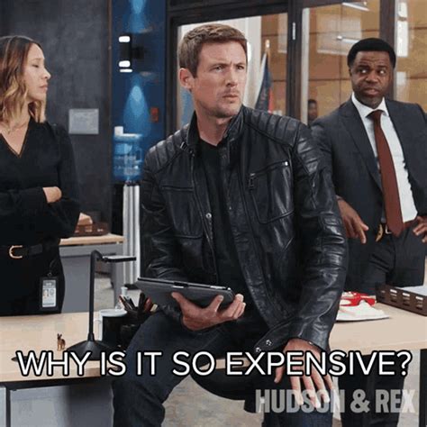 https://media.tenor.com/NONbFxHwm08AAAAd/why-is-it-so-expensive-charlie-hudson.gif