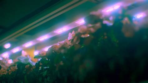 Image result for Interstellar Lab