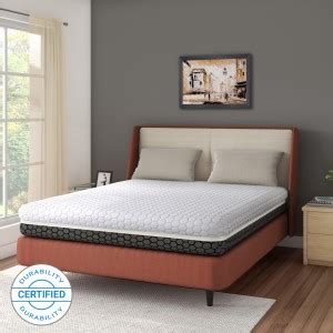 Flipkart Perfect Homes GenNXT Orthopedic 8 inch Single Memory Foam ...