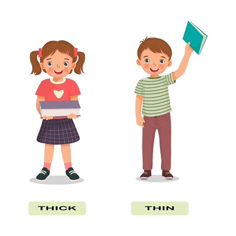 Opposite adjective antonym words thick and thin illustration of little ...