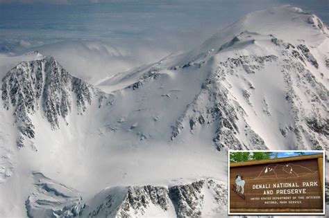 Tree Climber Death 的图像结果